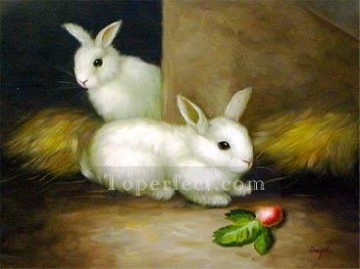 dw004hD animal conejo Pinturas al óleo